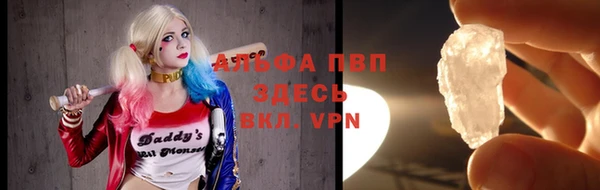 ГАЛЛЮЦИНОГЕННЫЕ ГРИБЫ Семёнов